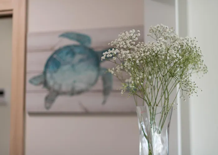 Apartamento Maravilloso En Pueblo Majorero