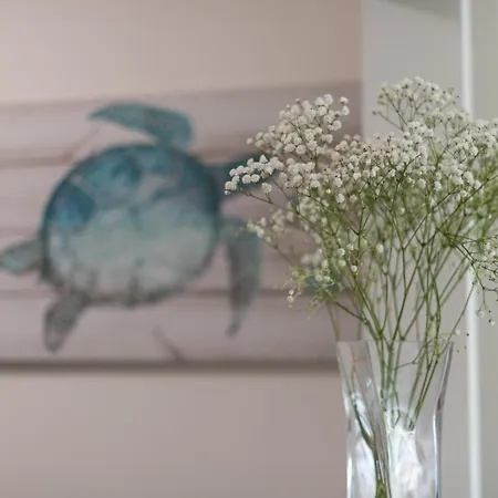 Apartamento Maravilloso En Pueblo Majorero